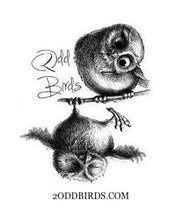 Load image into Gallery viewer, 2 ODD BIRDS
